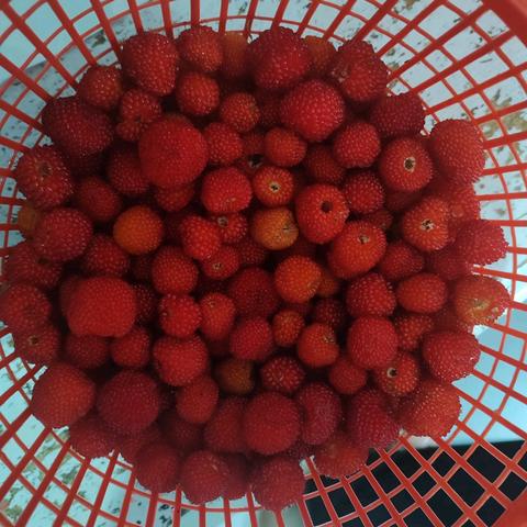 基层减负，何去何从