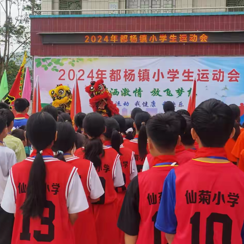 驰骋赛场，勇创佳绩——2024年都杨镇小学生运动会