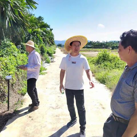 立才农场公司南滨产业公司“两非”整改“大会战”首日“啃硬骨头”签下14份复耕协议书