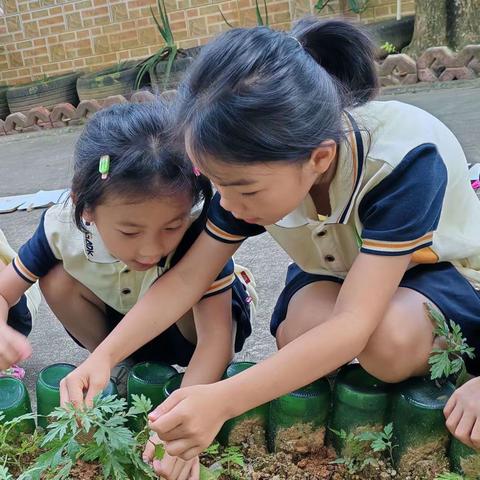 【子主题】课程故事：我和艾条的故事系列活动