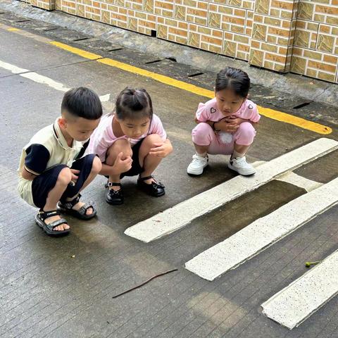 “嘿，蚯蚓”大二班自然课程