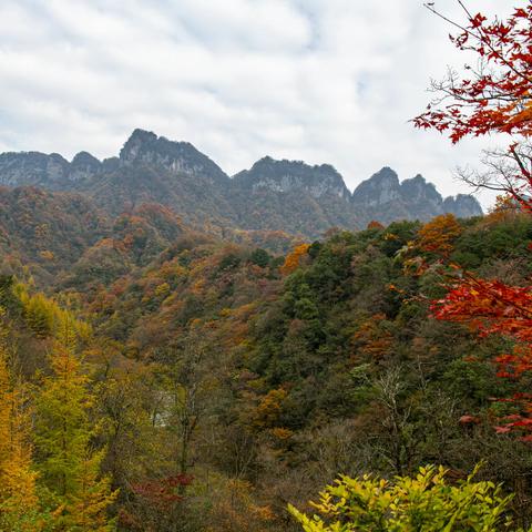 米仓山游记