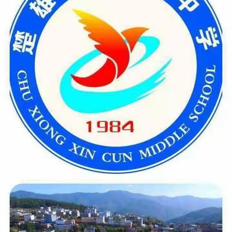 奔跑吧·少年——楚雄市新村镇初级中学2025年校园文化体育艺术节活动剪影