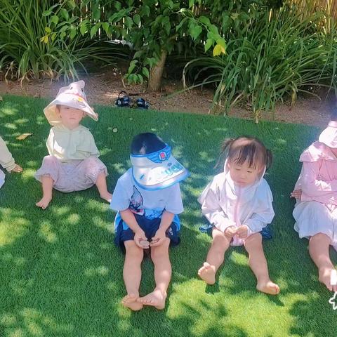 山清水秀幼儿园自然教育第 1035期——蒙七班 《夏日水宝宝💦💦》