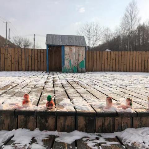 山清水秀幼儿园自然教育1106期-蒙七班自然教育《雪地里的小画家🎨》