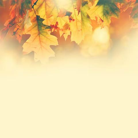 学有归期，践行无期——记新站区中小学校长赴长三角名校跟岗研修（时代小学篇三）