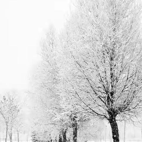 《冬天你好呀❄️》_ 胡西幼儿园中一班