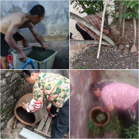 振家社区多举措防控基孔肯雅热，筑牢公共卫生防线