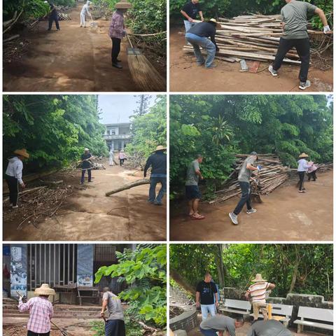 振家社区联合农林水务科开展环境卫生周末大扫除及基孔肯雅热防控活动