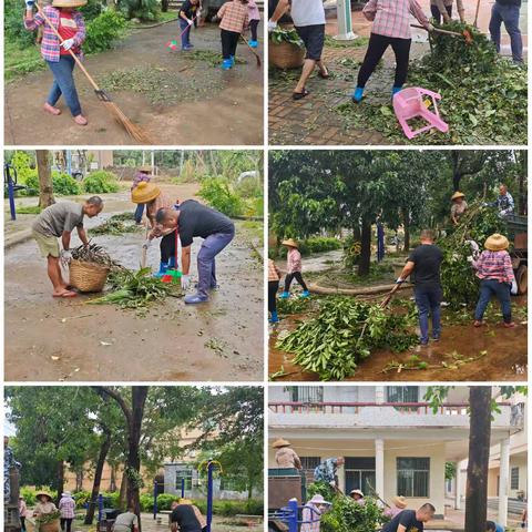 振家社区联合农林水务开展台风“麦德姆”灾后清障行动