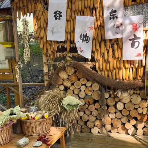 鸿雁金坤幼儿园【秋季研学之采摘活动】