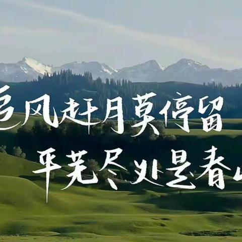 赛课之见：见自己、见教材、见学生—记栾川县城关中学政史地组全员赛课