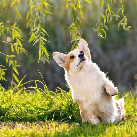 珍爱生命 重视安全