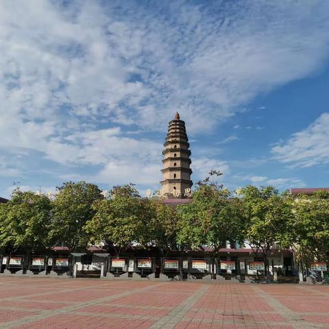 高二政治法律社团 迎国庆手抄报展览