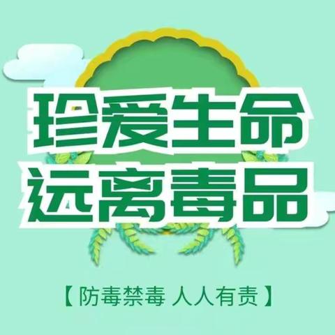 相伴成长•禁毒同行——绿泡泡幼儿园大一班禁毒宣传教育活动