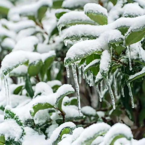 蓝天白云｜瑞雪纷飞，物业扫雪暖人心