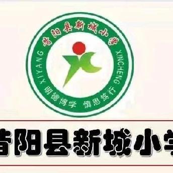 百舸争流 深耕切磋 ——新城小学盟区课堂教学技能展示活动