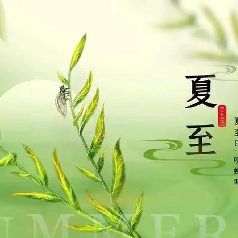 夏至——雪梨绿豆记