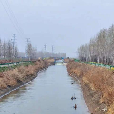讲武城镇开展河道保护整治工作