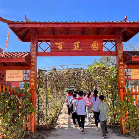 实践展翅，思维生花——来安街道八集小学综合实践活动课之《我是土地规划师》