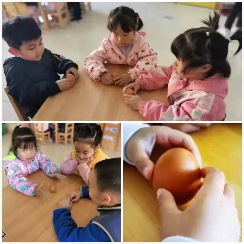 简篇-草长莺飞春分至,不负春光不负己——童心幼儿园二十四节气之春分主题活动