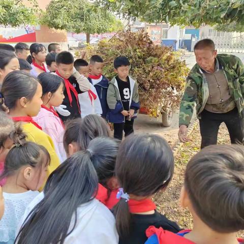 劳动砺心志，实践促成长——左家坞镇大旺庄小学劳动实践活动