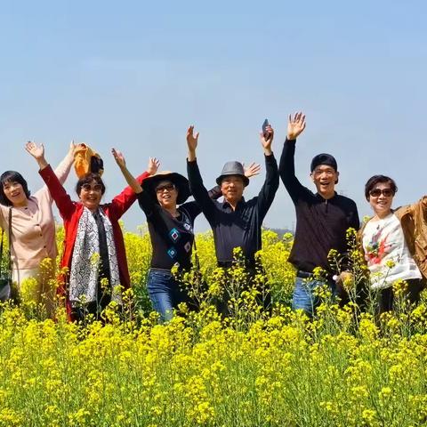 九华春聚,同学情长