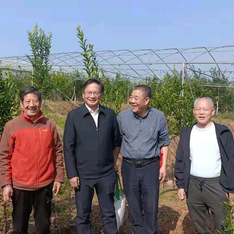 桔香迎佳客，匠心润清甜