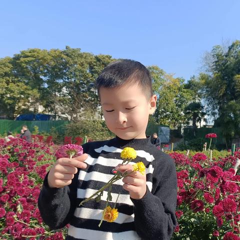 荆溪花海 一一晚秋里的一场闲欢