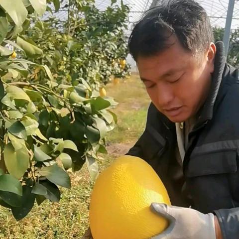 果香伴行 匠心守味