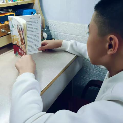 在书海中探索与成长