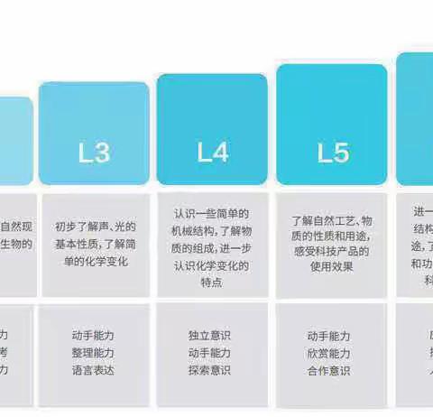 中二班科学小实验《会飞的小球》