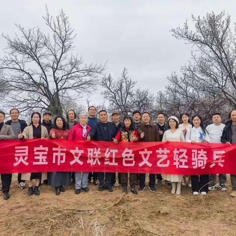 春日之韵 写生之美——灵宝市美协北沟古杏林春季写生采风