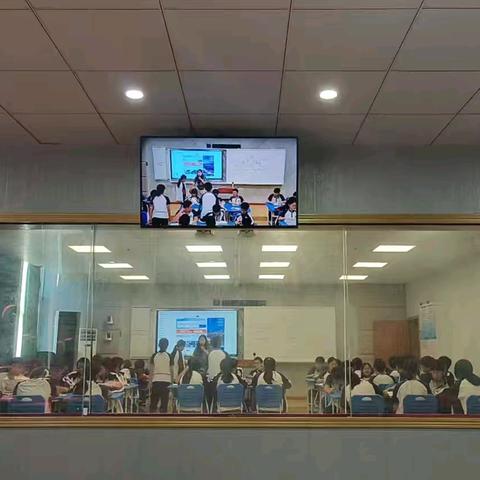 新教师汇报｜多课共鉴：于课堂方寸间，探教学深耕之路