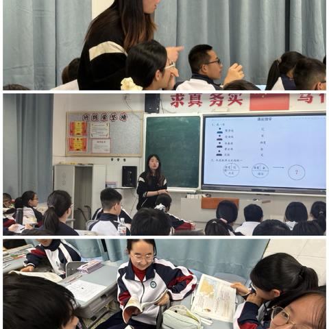 精研课标巧设计，学历案赋能促成长