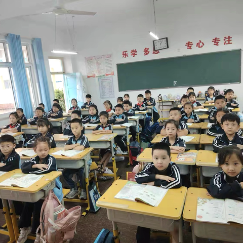 有趣的动物——二年级读书交流会