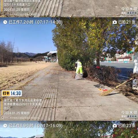 金智仟城张湾项目工作周报