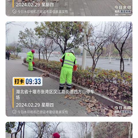 金智仟城张湾项目工作周报