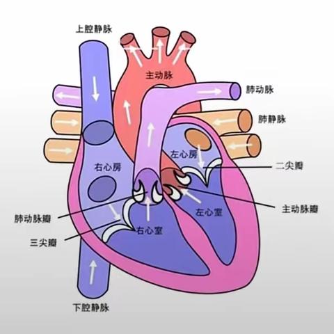 【一医医者红】学知识   长技能——记陪护人员专场培训