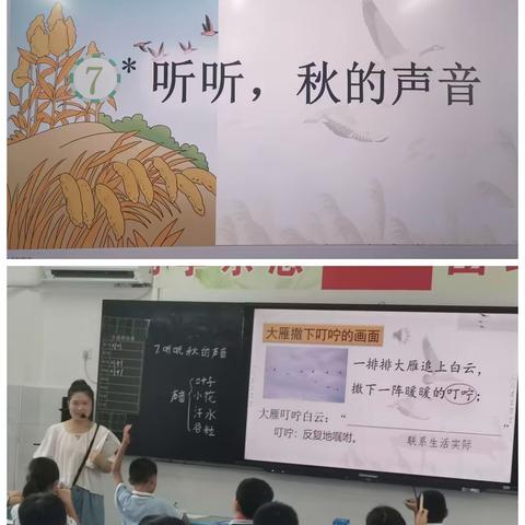 以听促教展风采，相互学习共进步 ——范县金堤路小学四年级语文教研组听评课活动