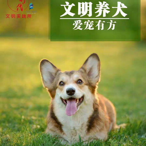 文明养犬，“宠”爱有方