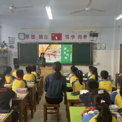 因生动而优秀，因扎实而精彩——经开区实验学校小学部公开课教研活动