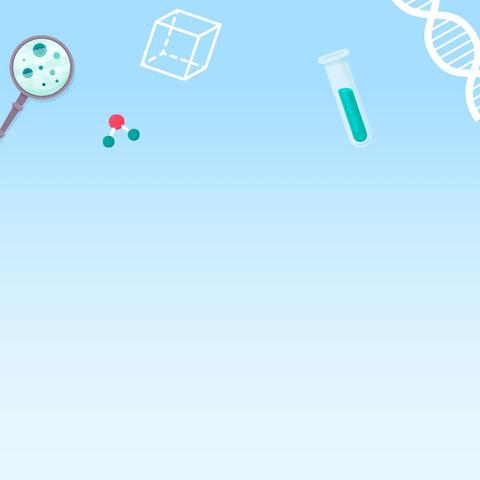 科学探航，实践逐梦——中宁九小教育集团一至六年级科学实验实践与测评纪实