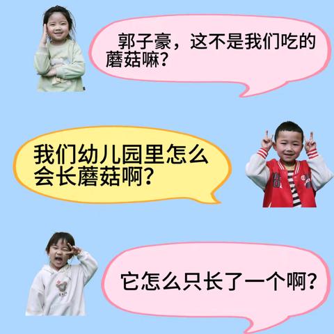 【神秘的小伞家族】—高陵四幼中一班课程故事