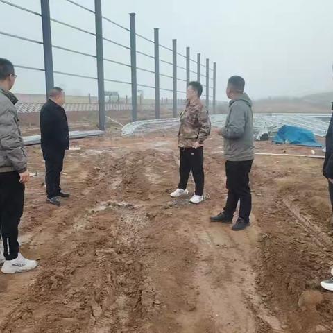 镇执法队核查违规占用林地建设行为