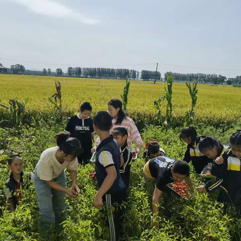 基地劳动砺心智 丰收实践助成长