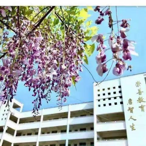 落实“双减”重实效    立足常规促提升 ——记上饶市第十一小学十一月份语文教学常规检查活动