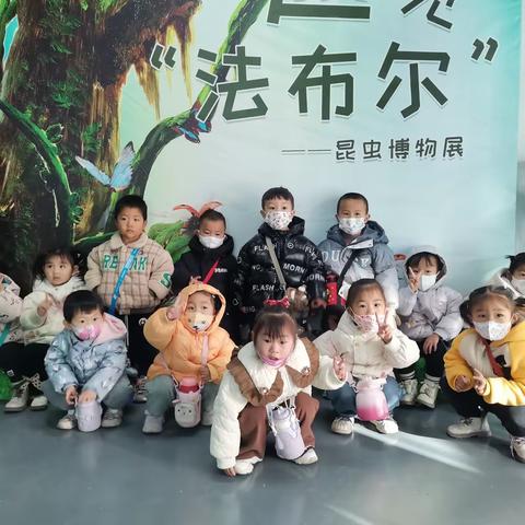 潞城区紫丹幼儿园第五期社会实践活动——“法布尔”昆虫展🦋