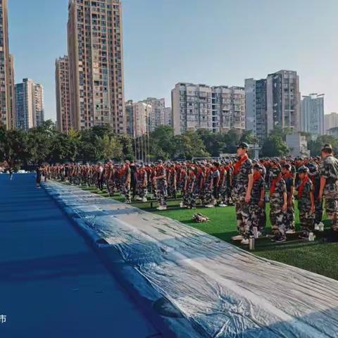 迷彩青春：军训生活纪实