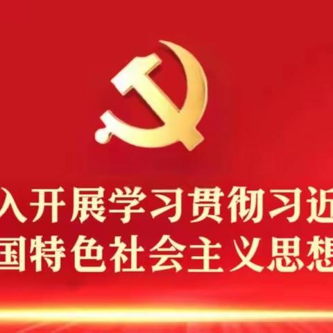 晨学小课堂二十大报告篇——党委委员、纪委书记安娜